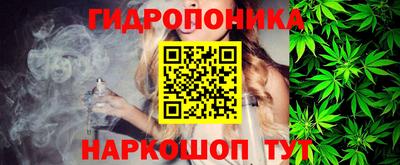 гидропоника Новодвинск