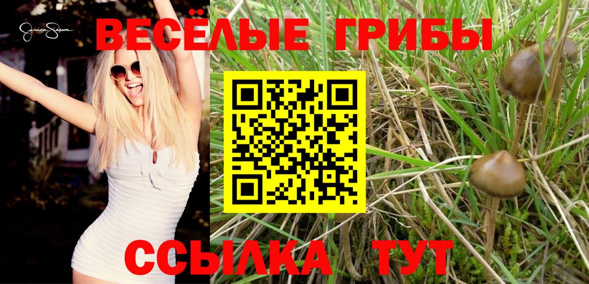 Самара  Псилоцибиновые грибы прущие грибы  Вход с VPN  Галлюциногенные грибы Psilocybine cubensis 
